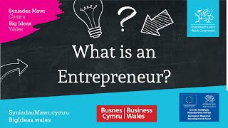 What is an entrepreneur [upl. by Tallu]