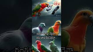 GUNNAMAMIDI KOMMA MEEDA Song That Will Bring Back Old Memories [upl. by Tirma746]