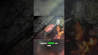 🔥 Master the Perfect Campfire Cooking  Easy Tips 🍞🍖 [upl. by Rotciv]