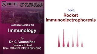 Immunology  VT6 Rocket Immunoelectrophoresis [upl. by Nellir324]