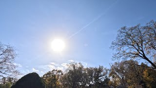 GWC Time Lapse  Blazing November Sun  November 6 2024 [upl. by Skiba830]