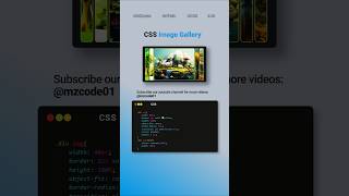 CSS Tips and Tricks Image Gallery css coding shorts webdesign cssshorts html viral hindi [upl. by Panthea]