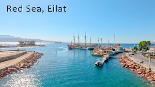 EILAT TODAY A Resort City on The Shores of The Red Sea [upl. by Nylorahs]