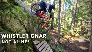 Its Harder than a Double Black Whistler Bike Park Pro Lines [upl. by Enecnarf576]