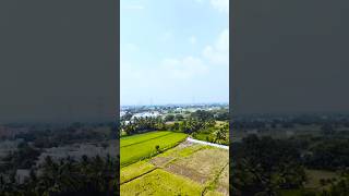 1 Acre Land for Sale near Shadnagar  8 Cr per Acre  Shorts  Bhoomi Infrastructure [upl. by Eng]