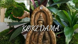 How to make Kokedama Japanese Moss Ball [upl. by Ttreve]