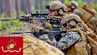 US Marines during military livefire training in North Carolina [upl. by Schiff]