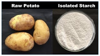 Isolation of Starch from Potato  Starch from Potato  How to Extract Starch From Potato  ENGLISH [upl. by Valeta]