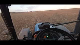 Buğday Ekimi  Wheat Planting  Kurt Mibzer  2024  Landini 5H115 [upl. by Adamsen]