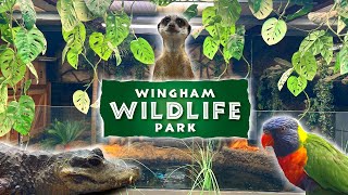 WINGHAM Wildlife Park Full Walkthrough Tour 2024 [upl. by Griffy710]