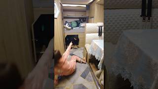 The thief was hiding under the bed  😱 Carriage house wooden artist  shortvideo [upl. by Michell933]