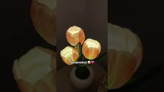 YES it does 🌷💗 tulips light fyp giftsforher viral nightlight couples couplesgifts [upl. by Oivalf658]