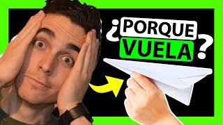 ✈️NO TE LO CREES Por qué vuelan los aviones de papel [upl. by Ilysa]