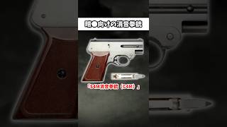 ソ連の特殊拳銃「S4M消音拳銃」 ゆっくり解説 ゆっくりショート [upl. by Ridglea]