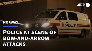 Police at the scene following Norway bowandarrow attack  AFP [upl. by Trace]