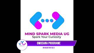 MindSpark Media UG Live Stream [upl. by Annahgiel74]