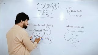 Coombs Test  Direct Coombs Test  Indirect Coombs Test [upl. by Weibel]