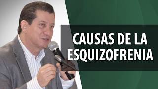 Causas de la Esquizofrenia [upl. by Liscomb]