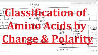 4 Classification of Amino Acids based on Polarity and Charge on R group [upl. by Airrat]