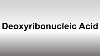 How to Pronounce Deoxyribonucleic Acid DNA [upl. by Ecyla194]