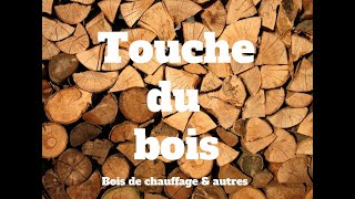 Comment savoir si mon bois de chauffage est sec [upl. by Nuarb]