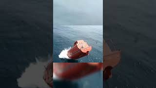 Ships Life Boat Freefall Launch  Live [upl. by Senilec449]