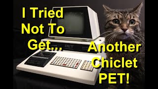 Chiclet Keyboard Commodore PET 2001 Datasette  Quick Assessment  Got Another One  Episode 2445 [upl. by Kciderf130]