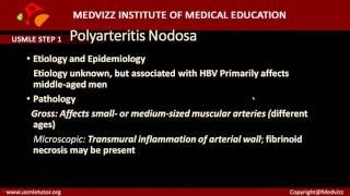 Polyarteritis nodosa PAN  Usmle step 1 pathology Case based discussion [upl. by Antonetta455]