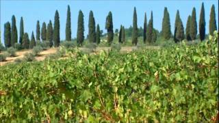 A short film about the winery Fattoria Nittardi [upl. by Vihs641]