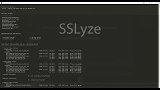 PentestBox SSLyze Tutorial [upl. by Yelrihs]