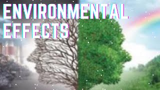 Environmental Hazards  HD Documentary [upl. by Kally914]