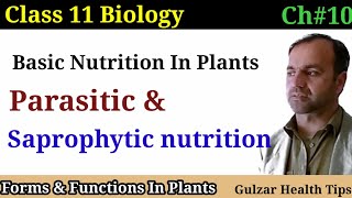 Basic nutrition in plants  parasitic nutrition  saprophytic nutrition  class 11th Biology [upl. by Zetra994]