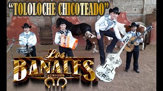 EL TOLOLOCHE CHICOTEADO  Los BAÑALES Juniors 2021 EN VIVO [upl. by Etnuaed]