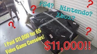 🇺🇸 I Paid 11000 for a Pallet Of 65 Video Game Consoles [upl. by Enorej670]