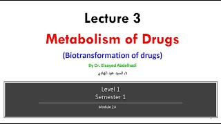 Lecture 3  Metabolism of Drugs Dr Elsayed Abdelhadi 2023  2024 [upl. by Kezer]