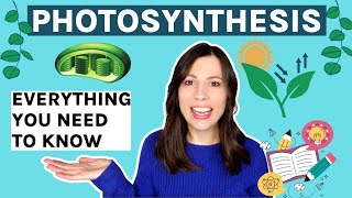 Photosynthesis AQA Alevel Everything you need to know [upl. by Vala]