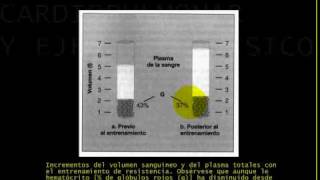 Fisiologia CARDIOPULMONAR Y EJERCICIO 13 [upl. by Navnod]