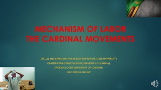 MECHANISM OF LABOUR CARDINAL MOVEMENTS OF LABOUR [upl. by Adnirual426]