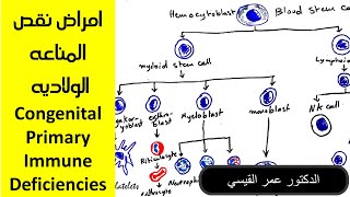 امراض نقص المناعه الولاديه  Congenital Primary Immune Deficiencies [upl. by Baun]