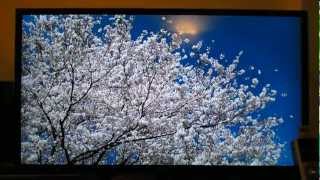 Sony Bravia KDL50EX645 LED HDTV Review [upl. by Anabahs]