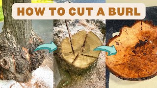 How to Properly Cut a Burl StepbyStep Instructions [upl. by Yeltihw]