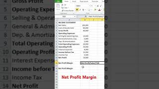 Financial Analysis  Net Profit Margin Explained [upl. by Einaled]