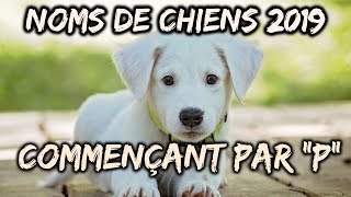 🐕Idées noms de chiens 2019 commençant par quotPquot🐕 [upl. by Etnoel]