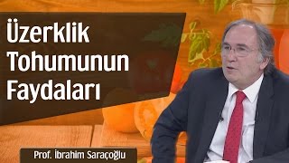 Üzerklik Tohumunun Faydaları  Prof İbrahim Saraçoğlu [upl. by Karolyn]