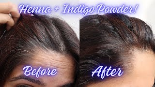 Tried Henna  Indigo Powder first time  Shudh Online Fresh Henna Paste Ready to Apply [upl. by Sjoberg937]