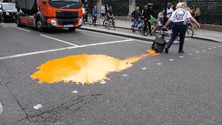 ‘Paint the Town Orange’  Just Stop Oil wins First Demand  London  10 July 2024 [upl. by Kirshbaum233]