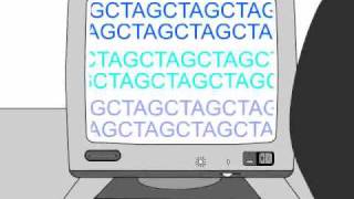 How to Sequence a Genome 11 Working Draft Sequence [upl. by Assilym627]