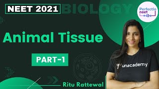 Animal Tissue  Part 1  NEET 2021  NEET Biology  Ritu Rattewal [upl. by Atoiganap]