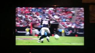 Andre Johnson vs Cortland Finnegan full fight [upl. by Dier]