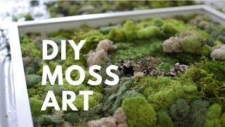 DIY MOSS ART  DONE SIMPLY [upl. by Teddman153]